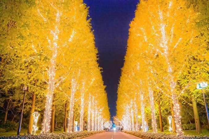 「ローム　イルミネーション」の画像検索結果"