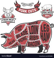 Pork Cuts Butcher Diagram Cow On White Background