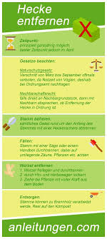 Hecke Entfernen Eine Hecke Aus Dem Garten Zu Entfernen Ist Mit Einer Menge Arbeit Verbunden Mithilfe Dieser Infografik Wirst Du De Hecke Garten Gartenhecke