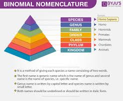 An anagram is a word or phrase that is made by rearranging the letters of another word. Binomial Nomenclature Rules Of Binomial Nomenclature