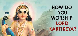 Kartikeya se encuentra como una deidad primaria en los templos dondequiera que las comunidades del pueblo tamil vivan en todo el mundo. How To Worship Lord Kartikeya On Skanda Sashti How Do You Worship Lord Kartikeya