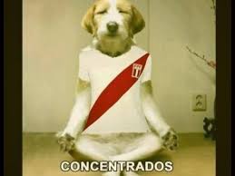 Memes por la goleada argentina (fotos) | peru.com. Peru Vs Paraguay Bicolor Perdio Lo Mejor Es Reirse Con Memes Paraguay Peru Memes