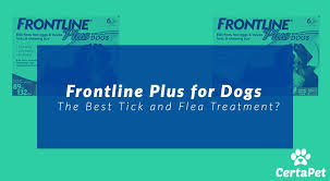 frontline plus for dogs in need of tick and flea management