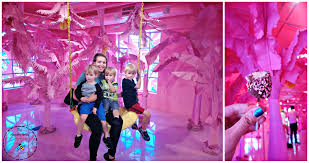Check spelling or type a new query. Museum Of Ice Cream Miami The Haywire Honey
