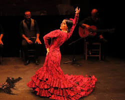 Image de Spectacle de flamenco à Séville