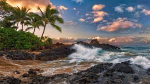 Maui Hawaii Calme Ocean Roches Des Palmiers La Plage Fonds D Ecran 1920x1080 Fonds D Ecran De Telechargement Paysage Plage Paysage Maui