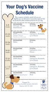 63 5 Way Puppy Vaccine Schedule