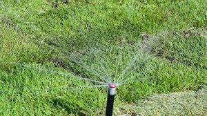 On a hot, sunny day in midsummer, the average lawn uses 125 gallons of water per 1,000 square feet. When Do You Need To Water Your Yard Agrilife Today
