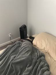 She Likes To Sleep Under The Covers Only With Her Butt Out Towards The Fan Cats