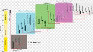 Die 209 besten bilder von aztekische muster in 2019. Malvorlagen Neandertaler Homo Sapiens Aufrecht Mann Homo Antecessor Hominini Feigenbaum Ausmalbilder Afrikanische Affen Winkel Marke Png Pngwing