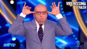 Giungono nuove indiscrezioni sulla futura edizione del grande fratello vip. Viperissima Gfvip Grande Fratello Vip Trash Reaction Alfonso Signorini Gif Viperissima Gfvip Grande Fratello Vip Trash Reaction Alfonso Signorini Discover Share Gifs
