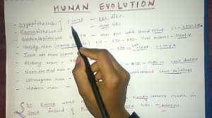 trick to learn human evolution stages of human evolution class11 neet and aiims