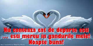 Îți simt lipsa și săruturile tale calde. Cele Mai Frumoase Felicitari De Noapte Buna Felicitari