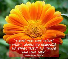 35 Famous Martin Luther King Quotes With Images Good Morning Quote Popular Flowers Beautiful Photos Of Nature Flowers