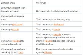 Membran sel ini memiliki sifat yaitu lentur. Bagian Bagian Sel Hewan Dan Tumbuhan Pengertian Perbedaan