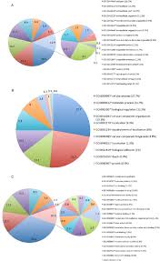 gene ontology go assignments based on david tool pie