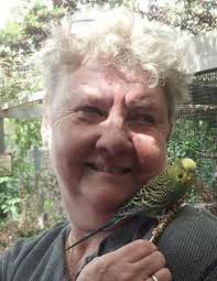 Diana L. Easter Butzin Carper Obituary (2024)