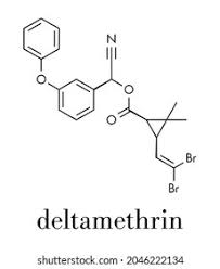 Image result for Pyrethroid