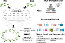 Combination carbon monoxide and smoke detectors shall be permitted to be installed in carbon monoxide detection systems in lieu of carbon monoxide detectors, provided that they are listed in carbon monoxide alarms and detectors shall comply with the fire code of new york state. Frontiers The Role Of Msc Therapy In Attenuating The Damaging Effects Of The Cytokine Storm Induced By Covid 19 On The Heart And Cardiovascular System Cardiovascular Medicine