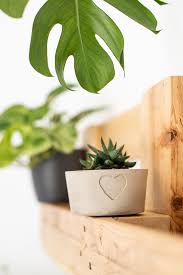 Momentan sind bastelarbeiten mit beton sehr gefragt und deshalb zeigt euromaxx. Diy Blumentopf Aus Beton Selber Machen Diy Blog Do It Yourself Anleitungen Zum Selbermachen Wiebkeliebt