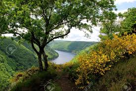 Nature wallpapers hd full hd, hdtv, fhd, 1080p 1920x1080 sort wallpapers by: Very Beautiful Scenery Charming Nature Summer Beauty Stock Photo Picture And Royalty Free Image Image 17607502