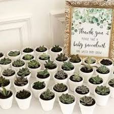 Pink stroller baby shower favor charms 12ct 1 1/4in x 1 1/4in plastic decorations. Watch Baby Grow Sign Succulent Baby Shower Succulent Favor Sign Thank You Sign Please Take One Sign Baby Shower Decoration Print Hp2 Green Baby Shower Personalized Baby Shower Favors Garden Baby