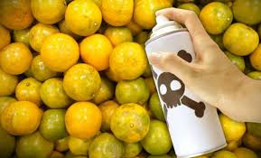 What little risk assessment done on such chemicals is typically done on individual chemicals in isolation, but. Are Toxic Chemicals Turning Boys Into Girls Collective Evolution
