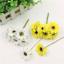 Dua belas wolffia hanya sebesar kepala pin. Bunga Cantik Dan Indah Kaskus