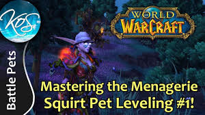World Of Warcraft Squirt Pet Leveling Strat 1 Wow Battle Pet Strategy Wod Draenor