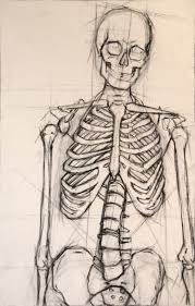 Skeleton By Xaviar12321 On Deviantart Skeleton Drawings Anatomy Art Skeleton Art