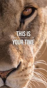 Pin On The Inspirational Quotes Collective