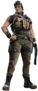 Does Anyone Know What Is Happening To Theses Scopes For Gridlock And  Capitao? I Loved This Scopes, But They Are Being Replaced By The Regular  2.5X Scope (Acog). So They Are Just