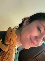 Reptile hideouts at half off