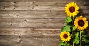 Anche i girasoli non sono un idea azzeccata (in questo caso indicherebbero frivolezza, inconsistenza, superficialità), i. I Fiori Dell Estate Piu Popolari Florachic Blog