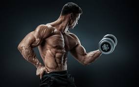 Wann sollte man kreatin einnehmen? Die Kreatin Kur Mit Und Ohne Ladephase Fitnessfood