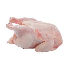 Mereka biasanya dipelihara oleh manusia sebagai ternak, yang berarti dipelihara untuk. Daging Ayam Utuh 1 Ekor Shopee Indonesia
