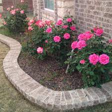 Want To Do This With All My Extra Bricks Landscaping With Roses Rose Garden Landscape Shade Landscaping
