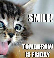 101 Funny Thursday Memes That Work Day And Night To Make You Happy Funny Good Morning Quotes Morning Quotes Funny Good Morning Quotes