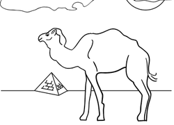 Maybe you would like to learn more about one of these? Desert Coloring Pages Printables Education Com