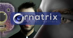 c4d头发毛发羽毛模拟插件 ornatrix v1 0 0 21988 for cinema 4d r19 r21 win破解版 superior hair hair building feathered hairstyles