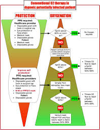 Let's start by defining the flow in the different oxygen devices. Covid 19 And O2 Therapy Initial Prehospital Approach In Mild Symptomatic Patients Medest
