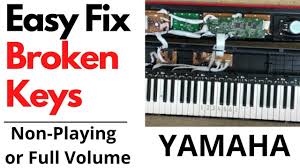 That's why you should know how to clean piano keys safely. Yamaha Keyboard Repair Easy Fix For Keys Not Working Or Being Full Volume Piano Youtube
