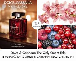 Dolce & Gabbana Wants To Move Forward. But In Fashion, Who Earns  Forgiveness? - Fashionista