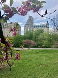Check spelling or type a new query. Central Park Running Tips Runstreet