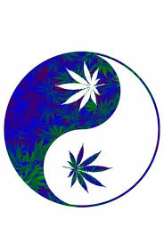 Gambar bisa didefinisakan sebagai koleksi deskripsi dan visual maupun bisa berupa citra. Daun