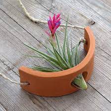 Hanging Air Plant Cradle Small Terracotta In 2021 Hanging Air Plant Air Plants Hanging Air Plants