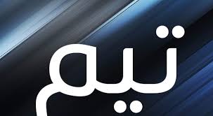 معنى اسم تيم صفات حامل اسم تيم gaming logos nintendo wii logo nintendo wii