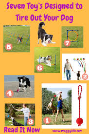 Onderkast Ikea Karcher Cashback Zwembad Baby Temperatuur Pet Sitting Business Dog Blog Your Dog