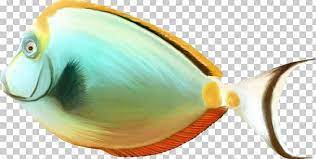 Fish Png Animal Animals Aquarium Fish Clip Art Computer Icons Computer Icon Aquarium Fish Colorful Fish