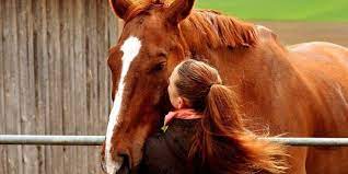 Los Mejores Nombres Para Caballos Y Yeguas Muy Originales Postposmo
